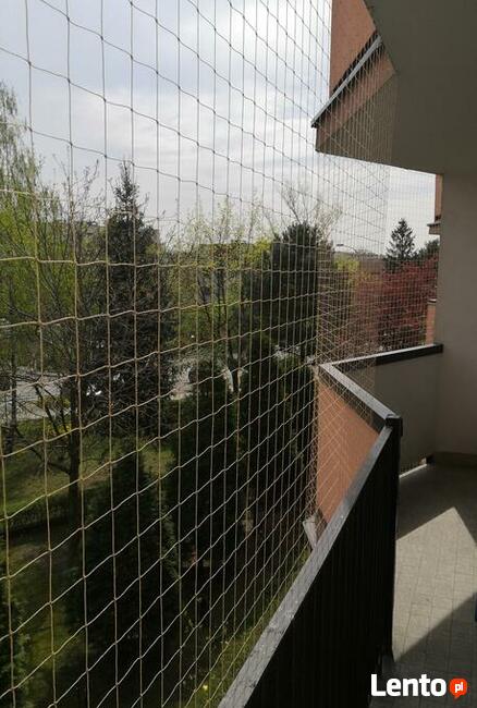 Osiatkowanie balkonu siatka na balkon, sprzątanie po ptakach