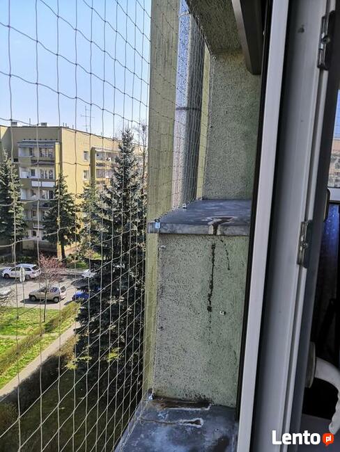 Osiatkowanie balkonu siatka na balkon, sprzątanie po ptakach