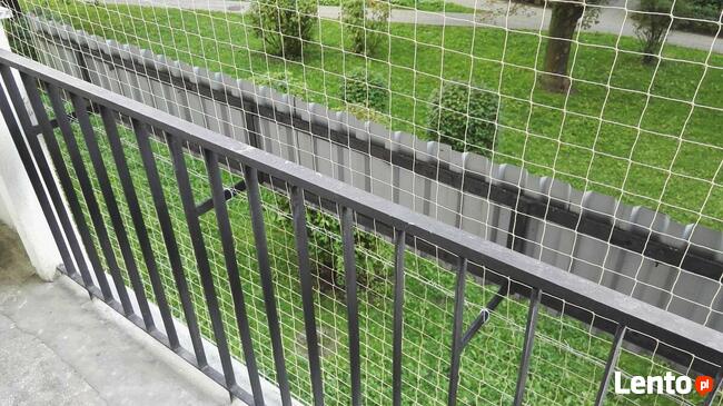 Siatka na balkon przeciw ptakom. Usługa montażu. Sprzątanie.
