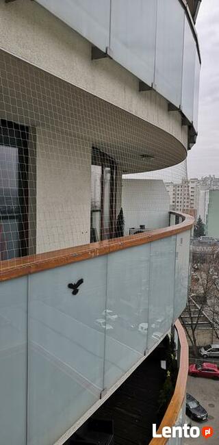 Osiatkowanie balkonu siatka na balkon, sprzątanie po ptakach