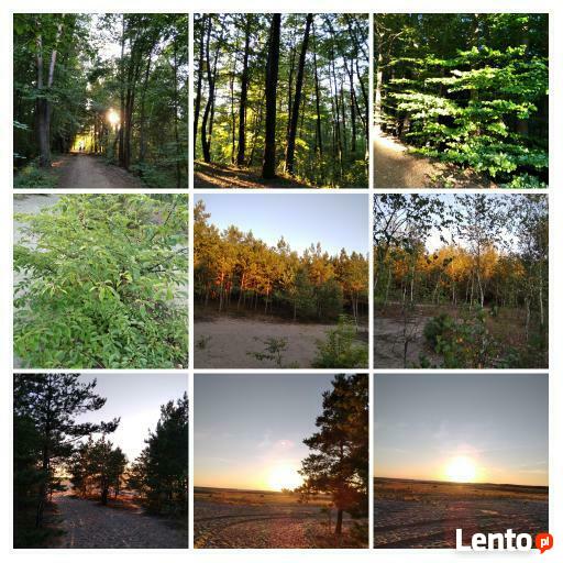 Podejmę pracę jako wychowawca na koloni/obozie