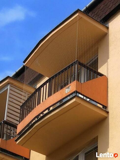 Siatka balkonowa dla kota. Montaż.