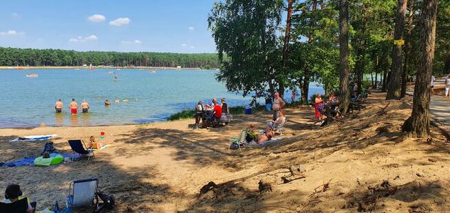 Domki holenderskie do wynajecia