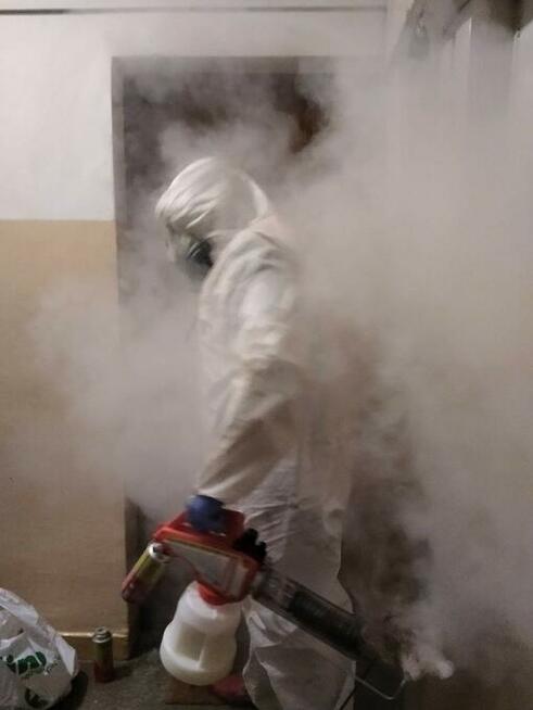 Deratyzacja, Dezynfekcja Dezynsekcja