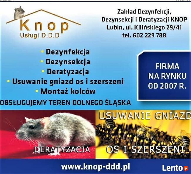 Deratyzacja, Dezynfekcja Dezynsekcja