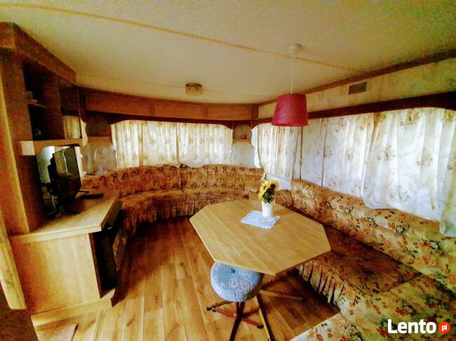 Domki holenderskie do wynajecia