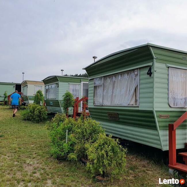 Domki holenderskie do wynajecia