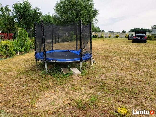 Domki holenderskie do wynajecia