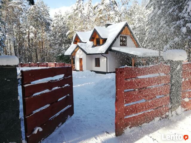 Domek letniskowy w lesie Sosenka Hutki Roztocze - Krasnobród