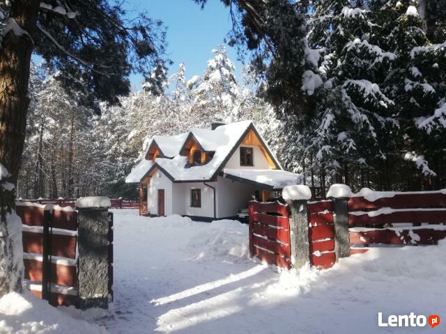 Domek letniskowy w lesie Sosenka Hutki Roztocze - Krasnobród