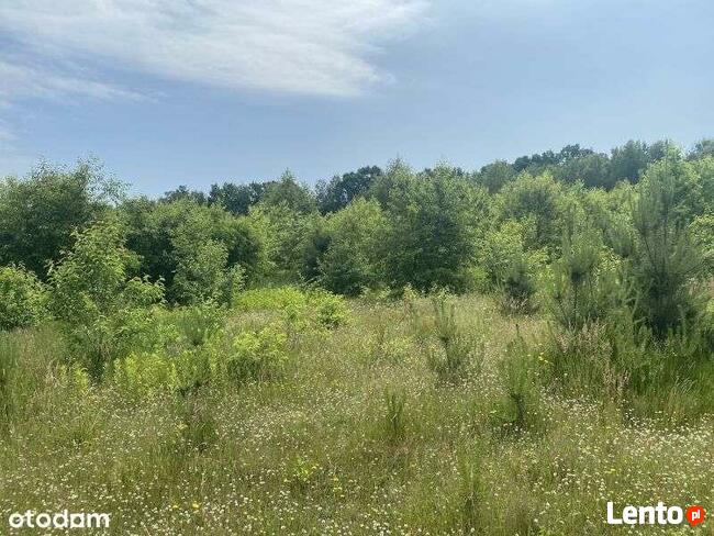 Rekreacyjna działka nad jeziorem Białym