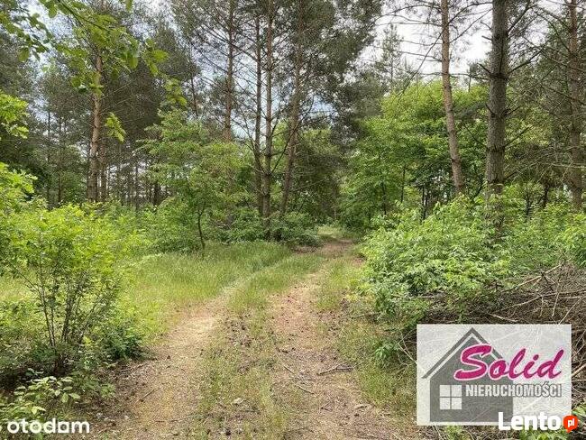 Rekreacyjna działka nad jeziorem Białym