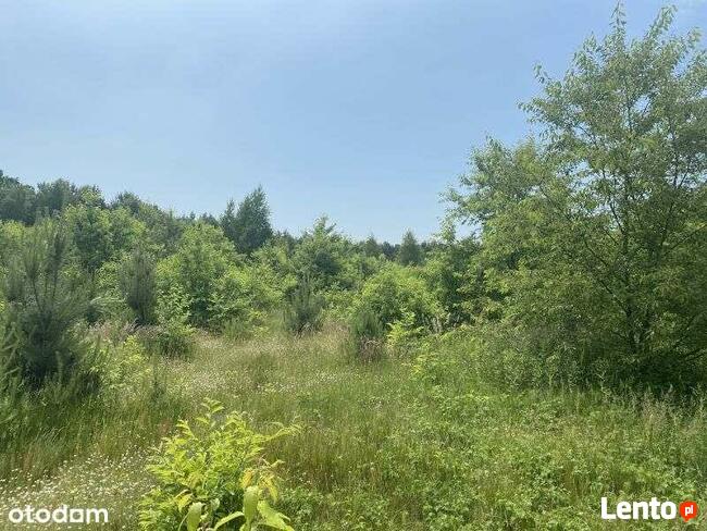 Rekreacyjna działka nad jeziorem Białym