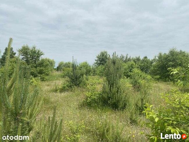 Rekreacyjna działka nad jeziorem Białym