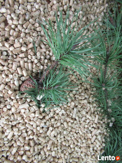 Pellet drzewny Premium 6 mm. Worki 15 kg.