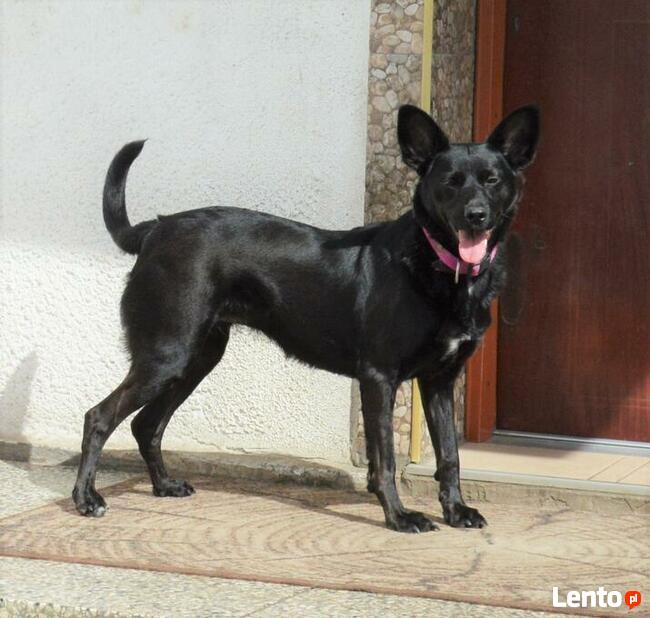 Cudowna dziewczynka marzy o domku pełnym miłości