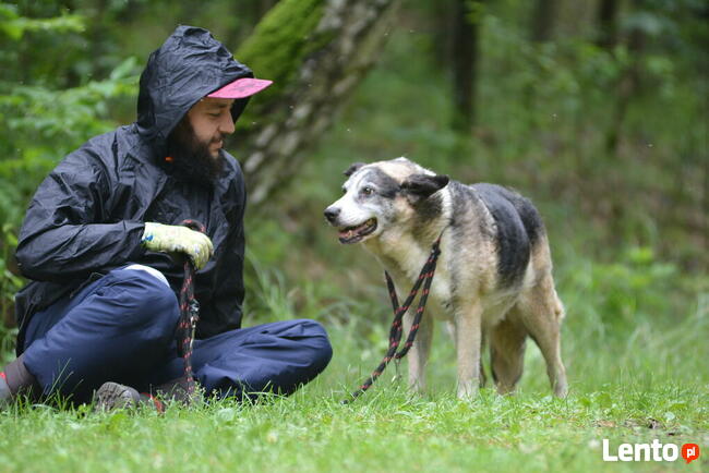 Uwielbiam wylegiwać się na słoneczku adoptuj mnie i pokochaj