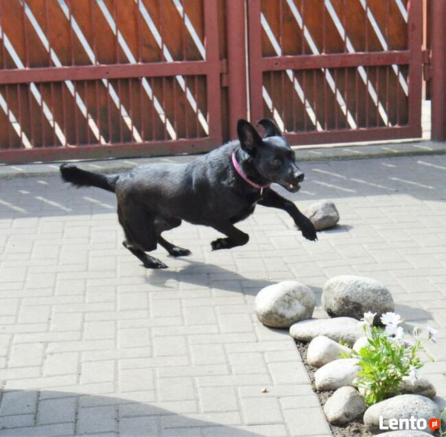 Cudowna dziewczynka marzy o domku pełnym miłości