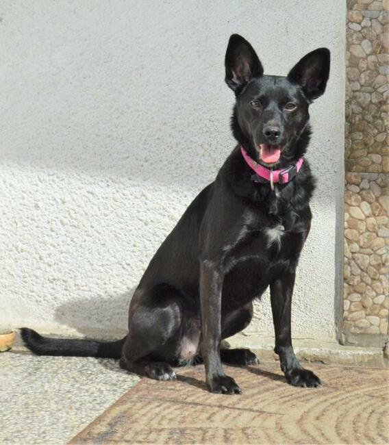 Cudowna dziewczynka marzy o domku pełnym miłości