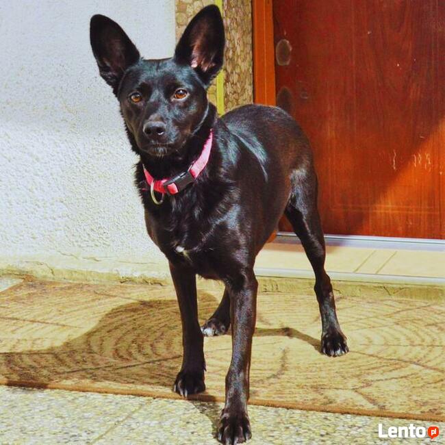 Cudowna dziewczynka marzy o domku pełnym miłości