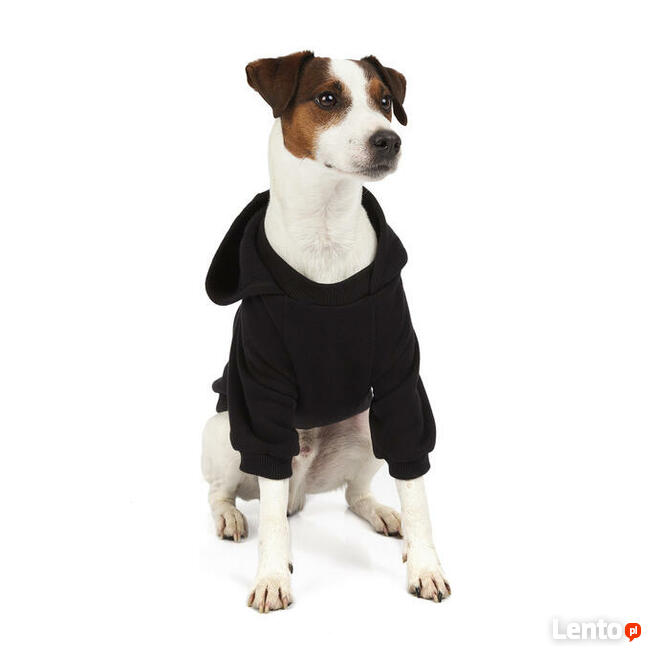 Bluza dla psa Jack Russell Terrier - pierrotmoda.pl