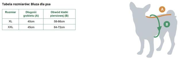 Ubranko dla Buldoga Francuskiego pierrotmoda.pl