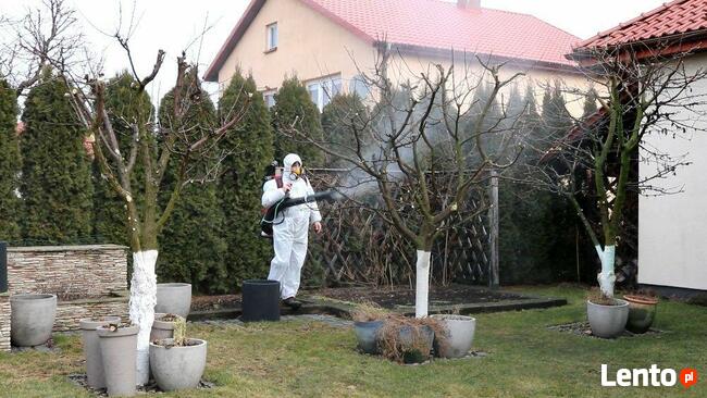 Usługi ogrodnicze - Pielęgnacja ogrodów - Opryski - Cięcie