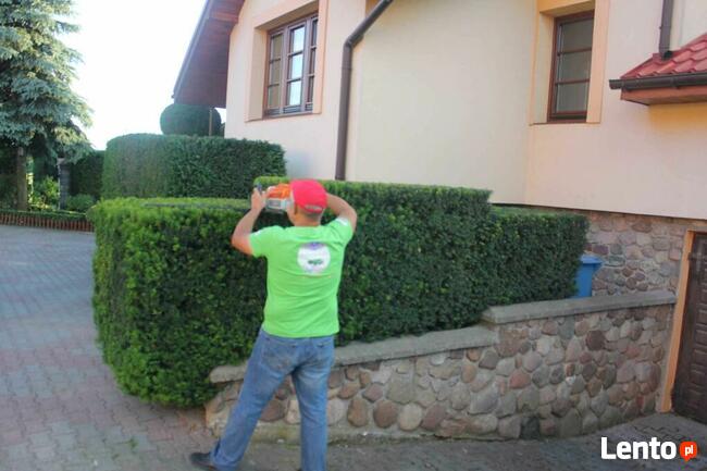 Usługi ogrodnicze - Pielęgnacja ogrodów - Opryski - Cięcie