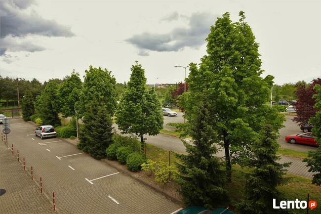 Do wynajęcia 2 pokojowe mieszkanie na Muchoborze