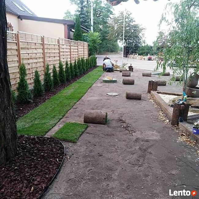 Pielęgnacja trawników - wertykulacja trawnika - aeracja