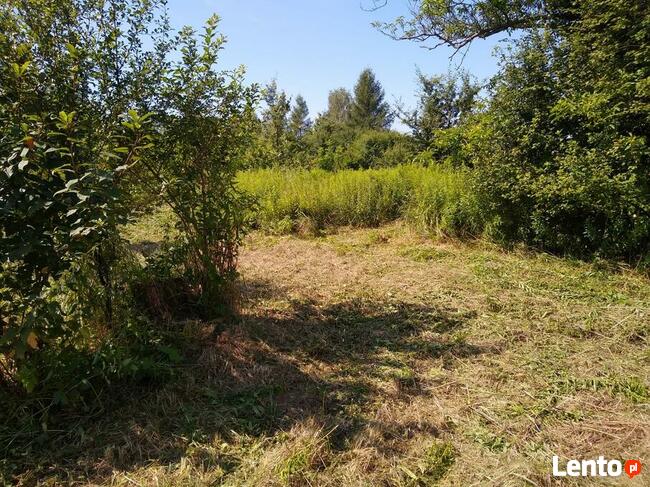 Koszenie trawy , kosiarka bijakowa ,rębak mielarka