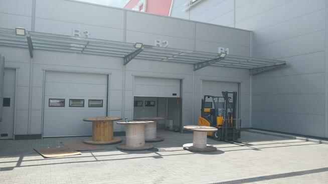 Producent BRAM Wister-Bram