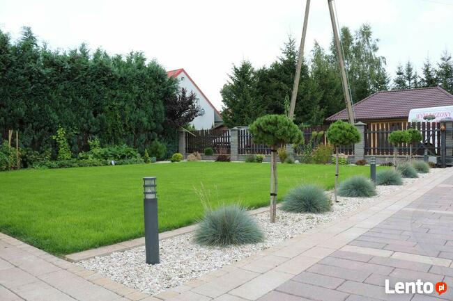 Pielęgnacja trawników - wertykulacja trawnika - aeracja