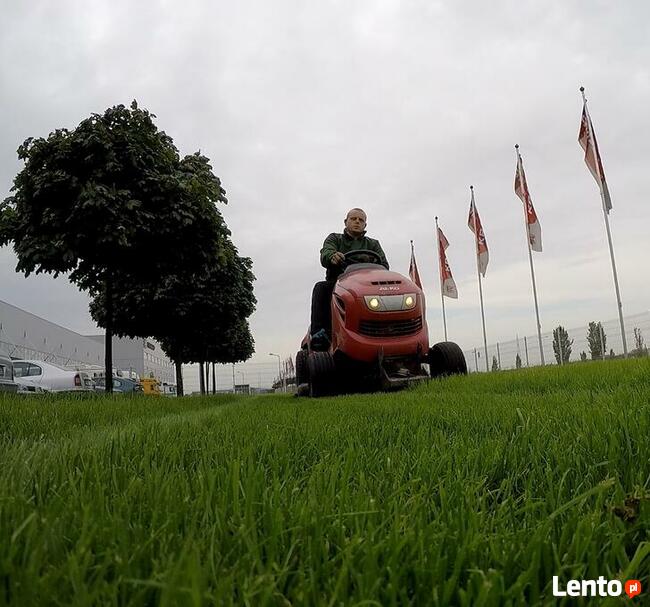 Zakładanie trawników Konin - Koło - Słupca - Turek