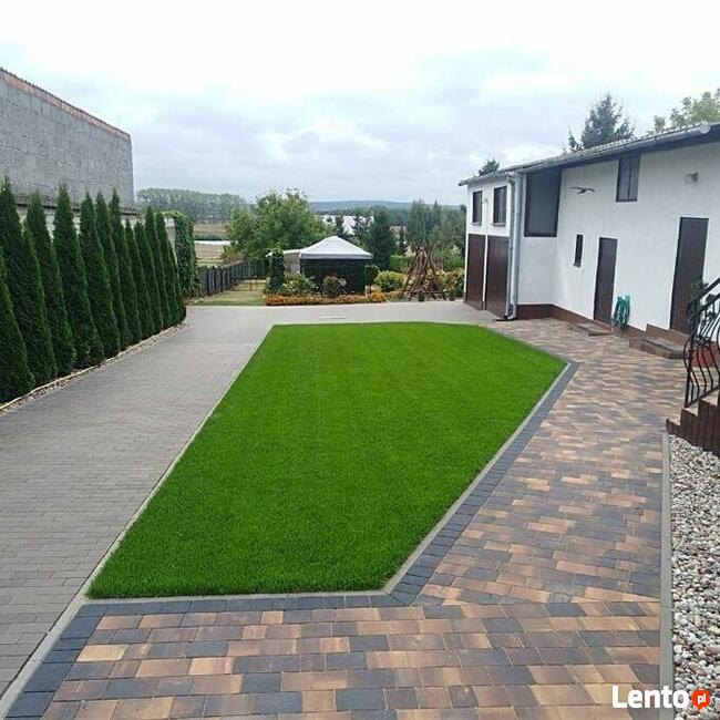 Pielęgnacja trawników - wertykulacja trawnika - aeracja