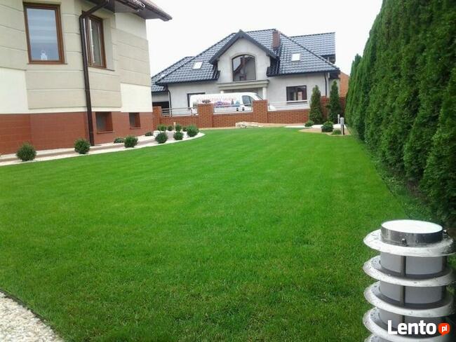 Pielęgnacja trawników - wertykulacja trawnika - aeracja