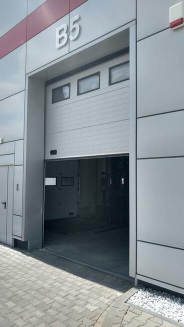 Producent BRAM Wister-Bram