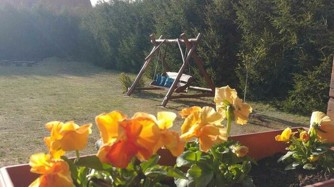 Domek letniskowy Wichrowy Zakątek Warmia-Mazury