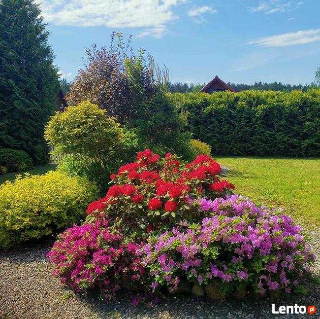 Domek letniskowy Wichrowy Zakątek Warmia-Mazury