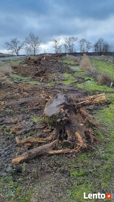 Pracę ziemne, Usługi Minikoparka