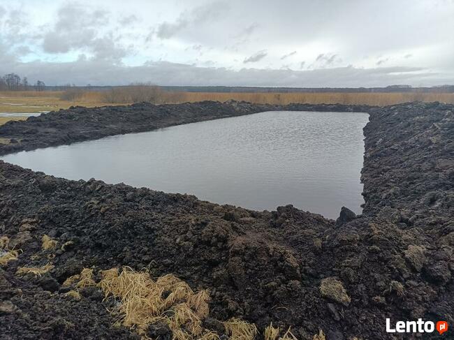 Kopanie uługi czyszczenie stawów koparką linową km 251.