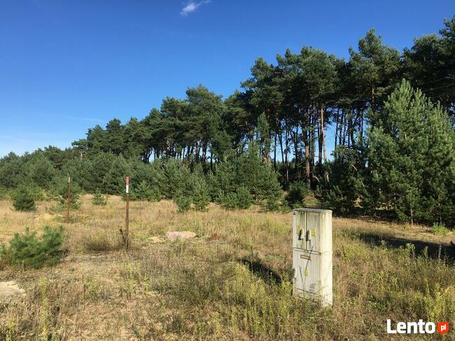Działka w Cierpicach 911 m2 warunki zabudowy - media