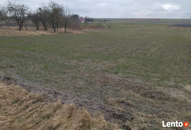 Dom z siedliskiem blisko zalewu Niwa