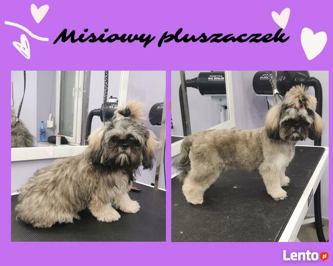 Salon pielęgnacji zwierząt PSITULNE MIEJSCE