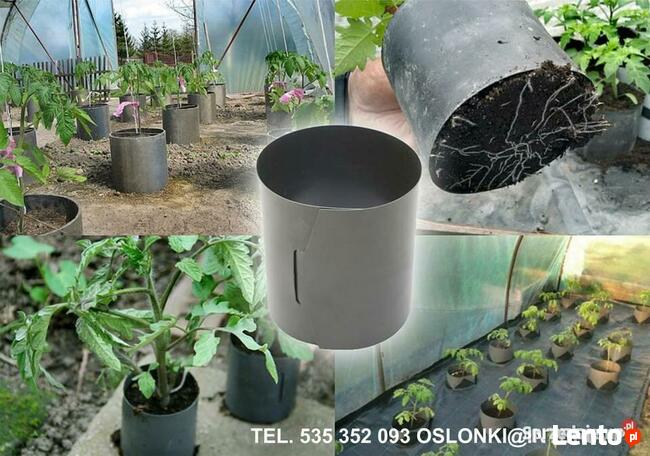 Doniczki spinane bez dna do uprawy POMIDORÓW █▬█ █ ▀█▀