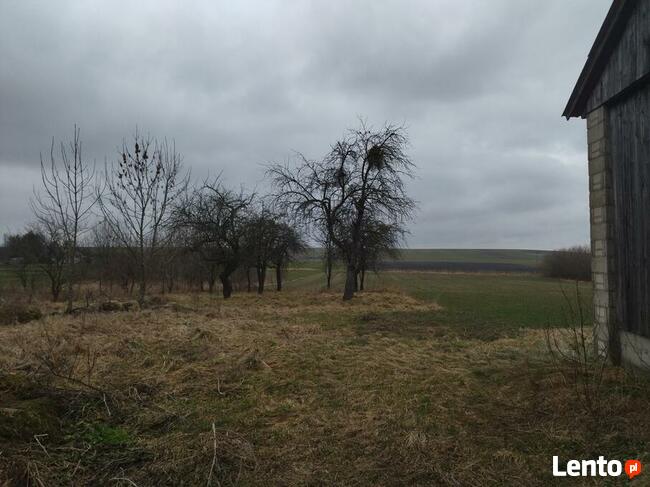 Dom z siedliskiem blisko zalewu Niwa