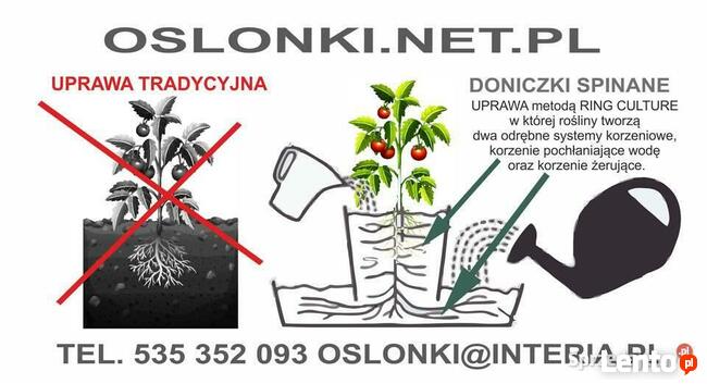 Doniczki spinane bez dna do uprawy POMIDORÓW █▬█ █ ▀█▀