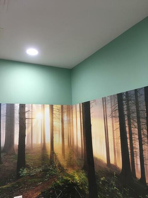 Usługi malarskie Wrocław / Malowanie / Gładź szpachlowa /