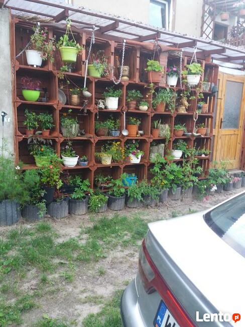 J.JEZIORAK MIGDA SIEMIANY NOCLEG WYPOCZYNEK PIWO RYBY