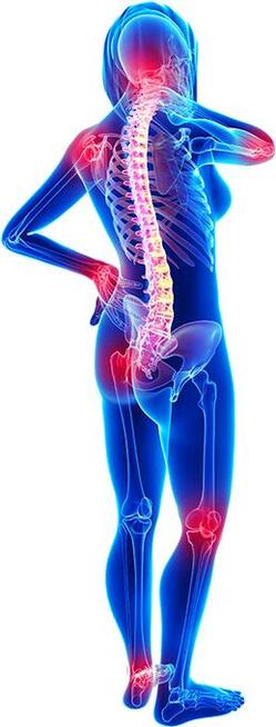 FizjoMobil- rehabilitacja dzieci i dorosłych w domu pacjenta